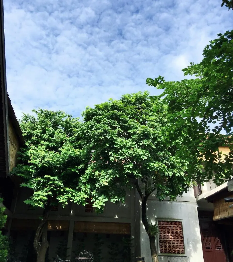 The An Homestay Ho Chi Minh City