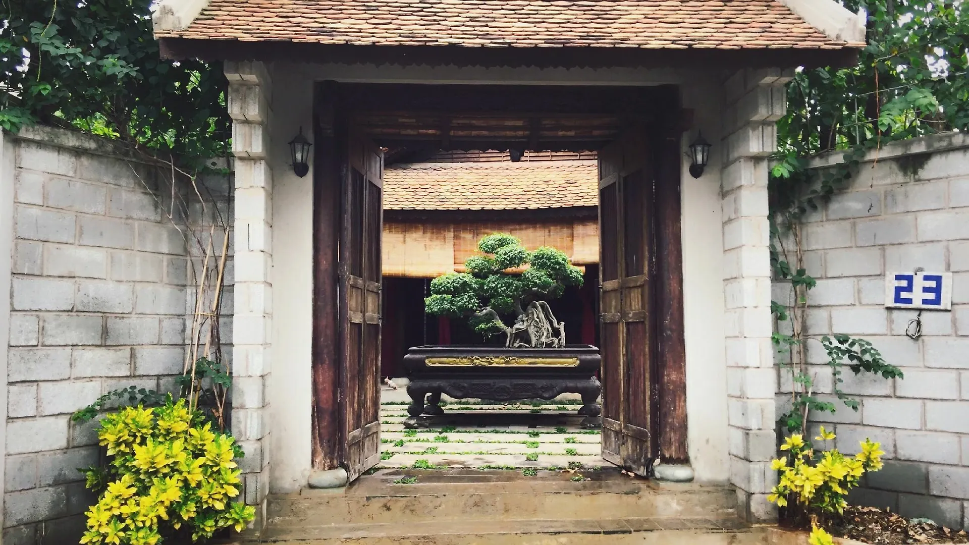 The An Homestay Ho Chi Minh City Vietnam